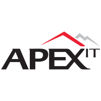 Apex IT logo