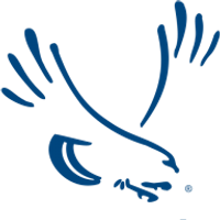 Brewer Science logo