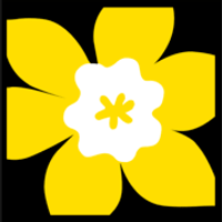 Canadian Cancer Society logo
