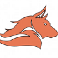 Career Academy Network of Public Schools logo