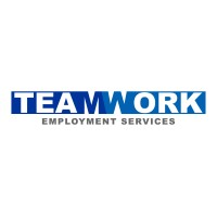 Teamwork Employment Services Ltd logo