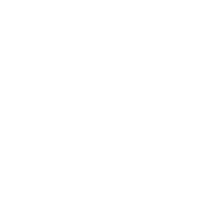 QPLIX logo