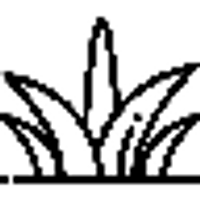 Comstock logo
