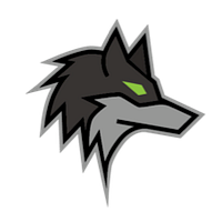 Dark Wolf Solutions logo