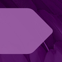 Dentons logo