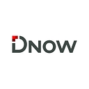 DNOW Canada - Process Solutions logo