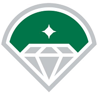 Diamond Baseball Holdings logo