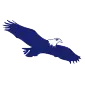 Eagle logo
