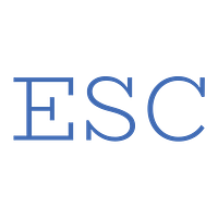 Eiden Systems Consulting (internal) logo
