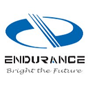 Endurance-energy logo
