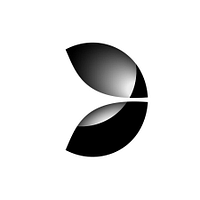 Evolution Gaming Group logo