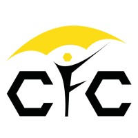 Flash logo