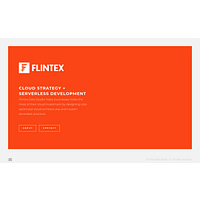 Flintex logo