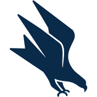 FlyteVu logo