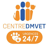 Groupe DMV logo