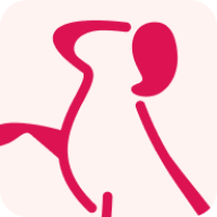 Hearing Dogs for Deaf People logo