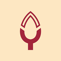 Pakka logo