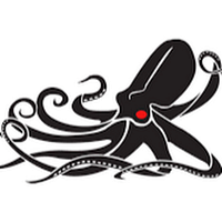 Kraken Robotics logo