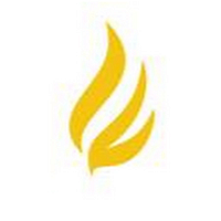 Larson Financial Group logo