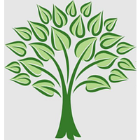 LifeSkills Connection Inc. logo