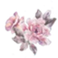 LoveShackFancy logo