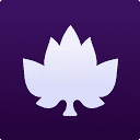 Maple logo