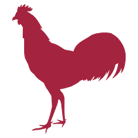 Meat Maestro logo