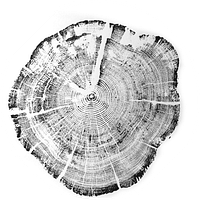Meeder Asset Management Inc logo