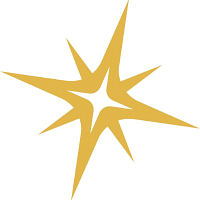 METASTAR INC logo