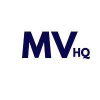 Millennial Ventures Group logo