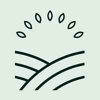 Mitti Labs logo
