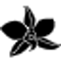 Mohala Eyewear logo