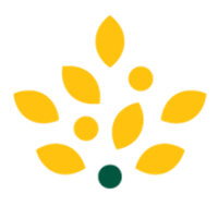 Morrisons logo