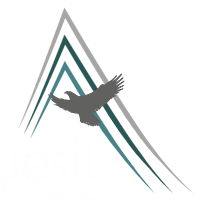 Summit Federal Services logo