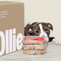 Myollie logo