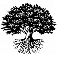 National Student Clearinghouse logo