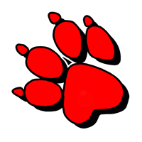 Naughty Dog logo