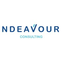 NDEAVOUR CONSULTING logo