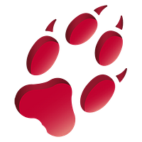 Cunning Running Software logo