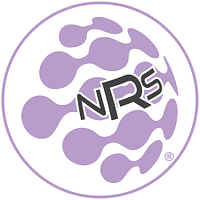 National Retail Solutions logo