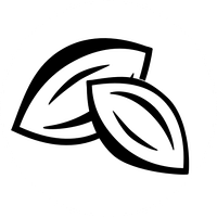 Pecan POS logo
