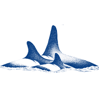 ORCAS Project Controls logo
