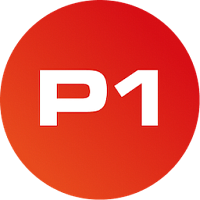 P1 Security logo