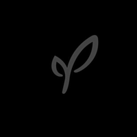 Palmer Home logo
