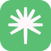 Palmstreet logo