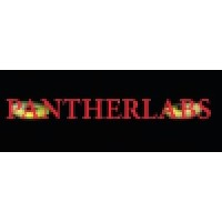 Panther logo