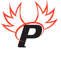 Paragon Cyber Solutions logo