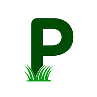 Patch Media logo