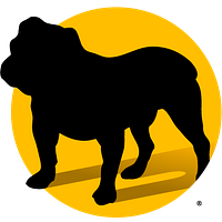 Pavone Group logo