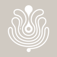 Puig logo